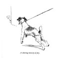 thumbnail image 2 of Illustration Of A Sealyham Terrier By Cecil Aldin Poster Print By Mary Evans Picture Library, 2 of 4