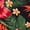 GREEN, variant on Women's Plus Size Tropical Floral V-Neck Cami Maxi Dress