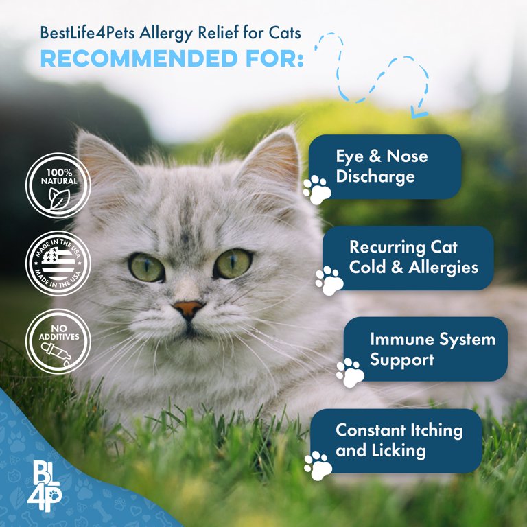 Cat Allergy Relief Chewable Tablets - Supports Immune System, Itch Relief, Vet Recommended - 150 Tablets (2 Bottles)
