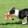 pet-products-dog-animal-plush-dog-vocal-traction-toy-pet-supplies-plus