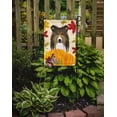 thumbnail image 2 of Carolines Treasures BB2048GF Sheltie L'action de Grâce Drapeau Jardin, 2 of 3