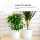 thumbnail image 2 of 25pcs Simple FlowerPot Bandeja Home Plástico Flor Pot Base Planter Bandeja de agua, 2 of 7