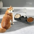 thumbnail image 3 of Inerposs Two-in-One Pet Bowl, Drinking Water and Food Bowl for Dogs and Cats, Inclined Design with Non-Slip Base, Removable and Easy to Clean, Suitable for Feeding and Hydration Needs, 3 of 5