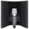 thumbnail image 1 of Idance MS1818 Studio Shield Instrument Condenser Microphone, 1 of 1