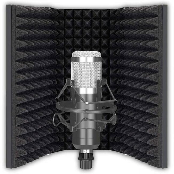 Idance MS1818 Microphone à Condensateur pour Instrument de Studio