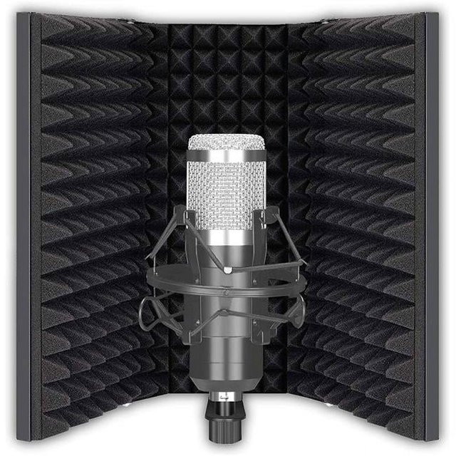 Idance MS1818 Studio Shield Instrument Condenser Microphone