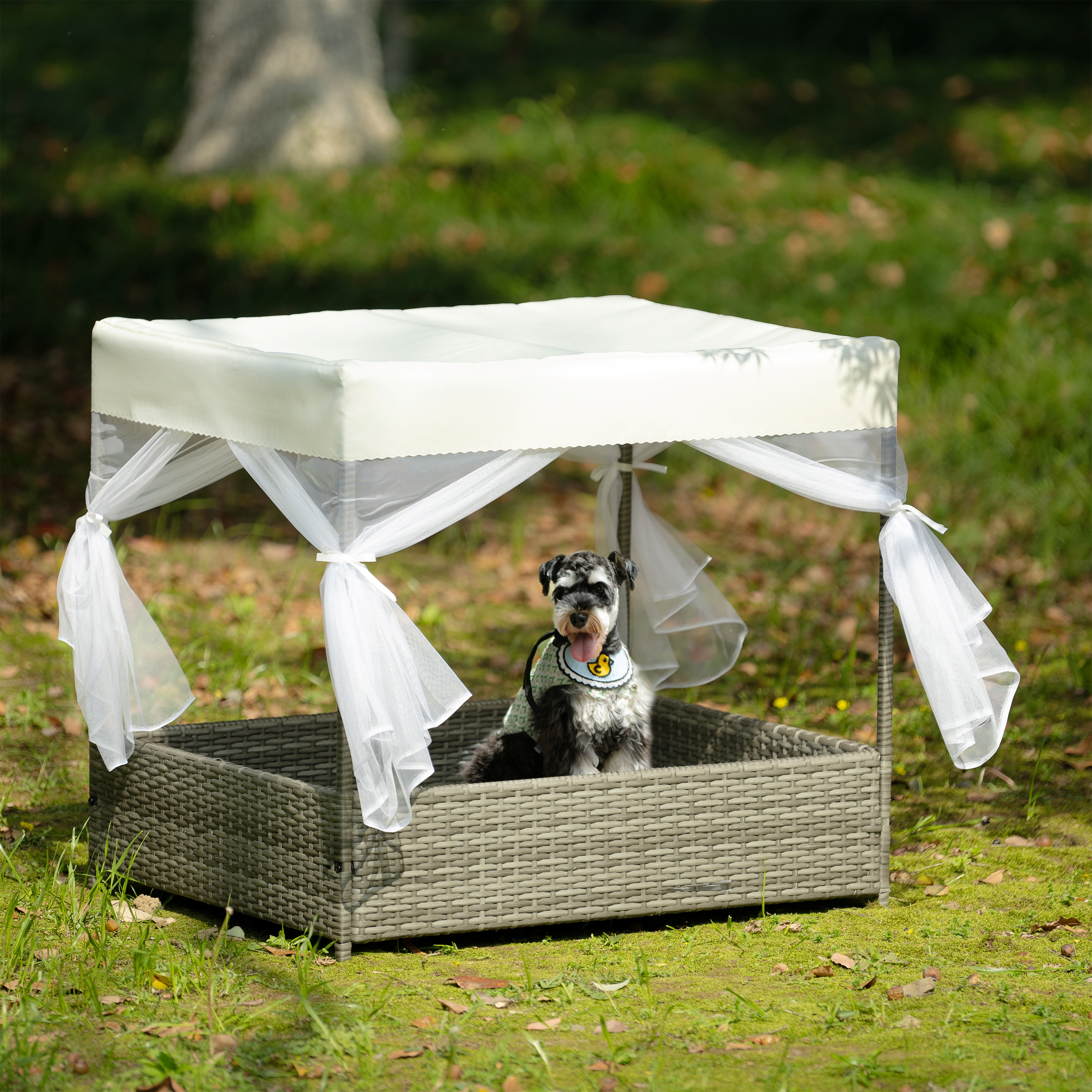 ZephyPaws 36" Dog Bed with Curtain, PE Wicker Pet Patio Furniture, Outdoor Elevated Pet Bed with Canopy & Cushion, Durable PVC Frame for Garden, Patio or Backyard