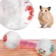 thumbnail image 5 of Rueda para correr para hámster, mascota pequeña (14 cm, azul), juguete de ejercicio de plástico mejorado, pelota para correr para hámster que alivia el aburrimiento de los osos Shih Tzu., 5 of 5