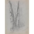 thumbnail image 2 of Jervis McEntee 18x24 Black Ornate Framed Double Matted Museum Art Print Titled: Study of Birch Trunks (Scribners’) (1869), 2 of 5
