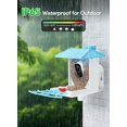 thumbnail image 4 of Comedero para pájaros Osoeri con cámara inteligente AI solar 1080P HD, 4 of 6