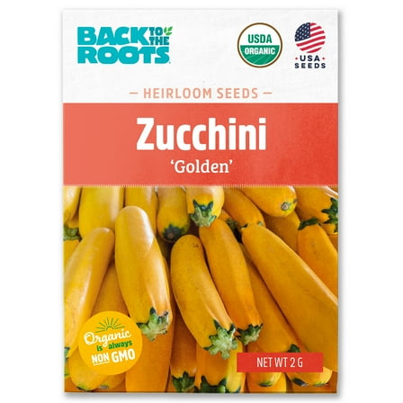 Back to the Roots Organic Squash 'Golden Zucchini', 1 Seed packet
