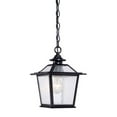 thumbnail image 1 of Acclaim 9706BK Salem Collection 1-Light Outdoor Light Fixture Hanging Lantern, Matte Black, 1 of 2