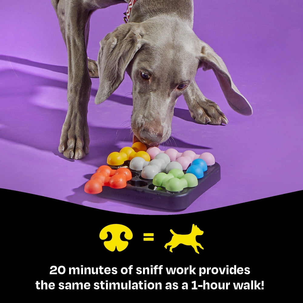Brightkins Kanoodle Dog Edition Small, Interactive Dog Toys, Dog Puzzle Toy, Enrichment Toy For Dogs, Dog Slow Feeder