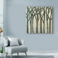 thumbnail image 3 of Trademark Fine Art 'Birch Line II' Canvas Art by Jennifer Goldberger, 3 of 4