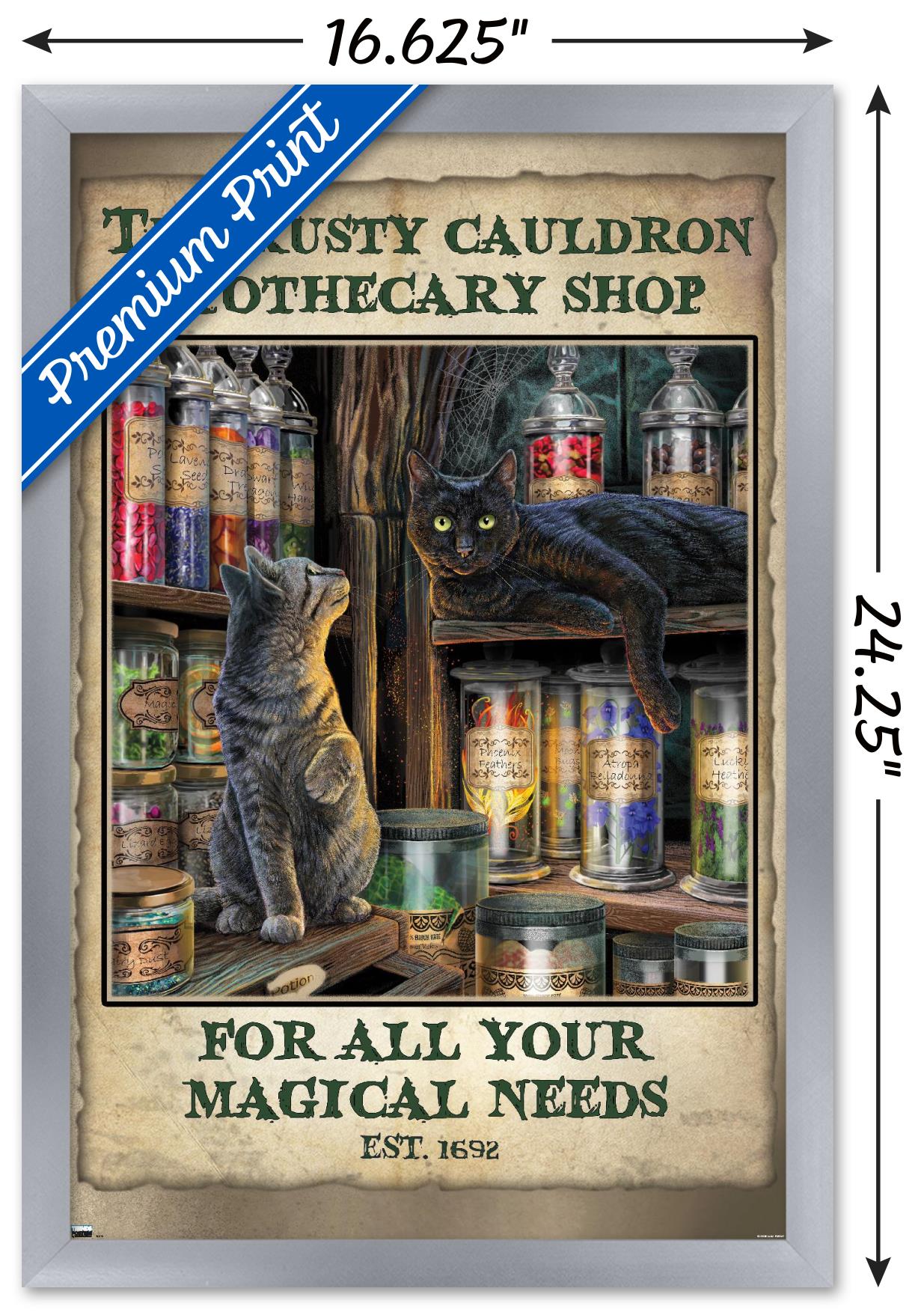 Lisa Parker - Apothecary Shop Wall Poster, 14.725" x 22.375", Framed