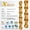 Fully hollow 10speed, variant on KMC 9/10/12 Speed Hollow Bike Chain, Ti-N Gold Racing Chain for Road MTB Bicycle, Lightweight Durable Anti-Rust Universal Cyclin