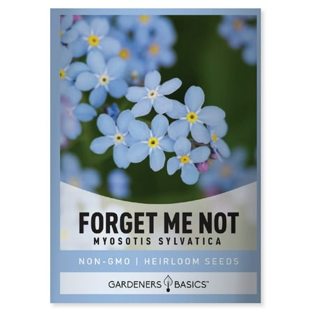 Forget Me Not Seeds