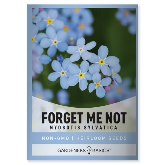 Forget Me Not Seeds