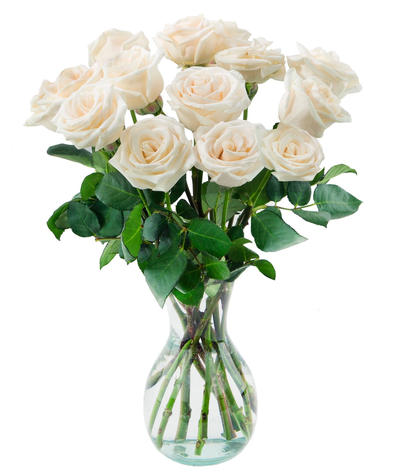Arabella Bouquets Farm Direct Bouquet of 12 Fresh Cut White Roses with ...