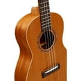 thumbnail image 4 of Alvarez RU22B Regent Series Baritone Ukulele, 4 of 4