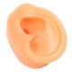 thumbnail image 5 of Modelo de oreja de silicona, oreja derecha Flexible suave, modelo de oreja humana reutilizable para perforación de oreja, exhibición de pendientes de entrenamiento, 5 of 8
