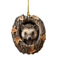 thumbnail image 2 of Ktoot Animal Christmas Ornament,2D Flat flat Acrylic Hanging Pendant,Rustic Farmhouse Christmas Decor,Hedgehog Ornament,Woodland Animal Ornaments,Unique Christmas Tree Decor for Animal Lovers, 2 of 3