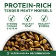 thumbnail image 3 of Purina ONE Natural Grain-Free Dry Dog Food, High Protein Lamb, Small Breeds, 3.8 lb Bag, 3 of 10