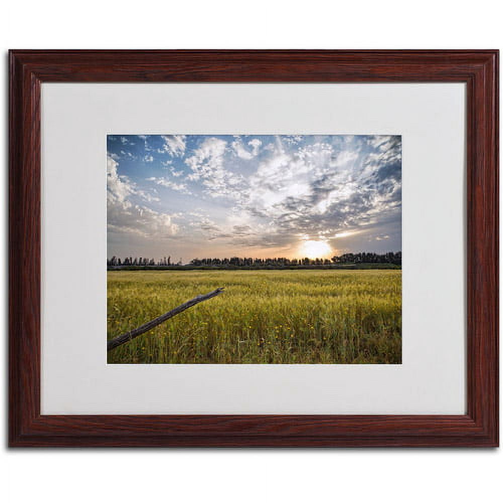 Matted art under acrylic in a black frame