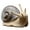 Snail head sideways, variant on SDFGTstore Cute Snail Pottery Statue Figurine Ceramics Craft for Indoor and Outdoor Decors
