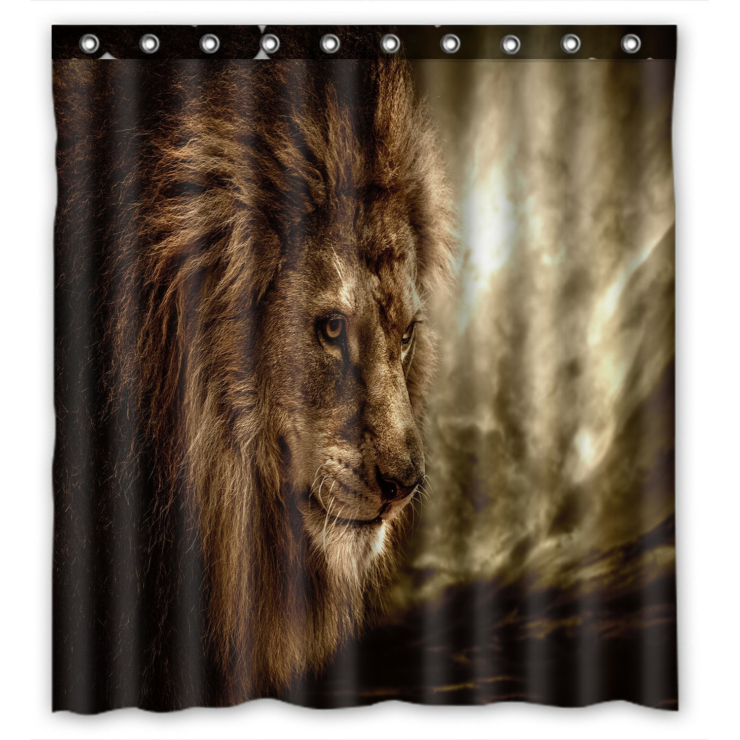 PHFZK Animal Shower Curtain, Brown Fierce Lion Against Stormy Sky