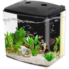 Betta Fish Aquarium With Filter​: Ultimate Care Tips for Crystal Clear Water