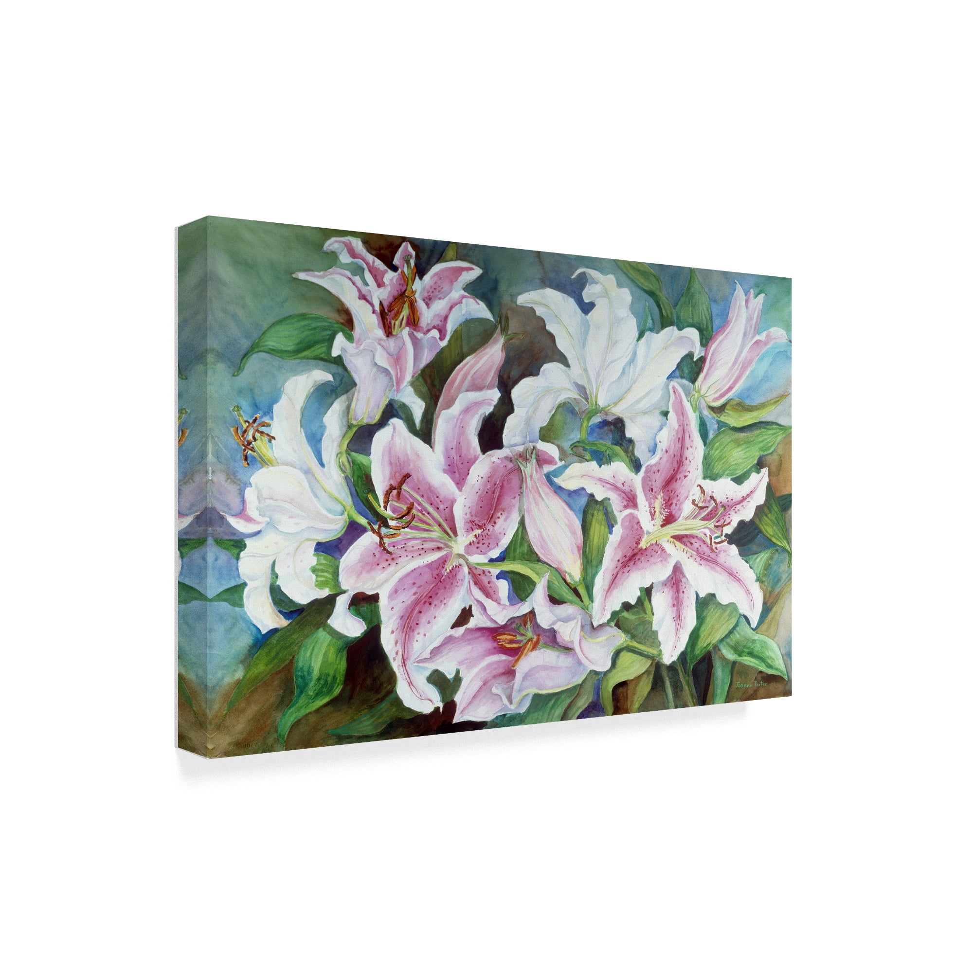 Trademark Fine Art 'Lilies Of The Field' Canvas Art by Joanne Porter