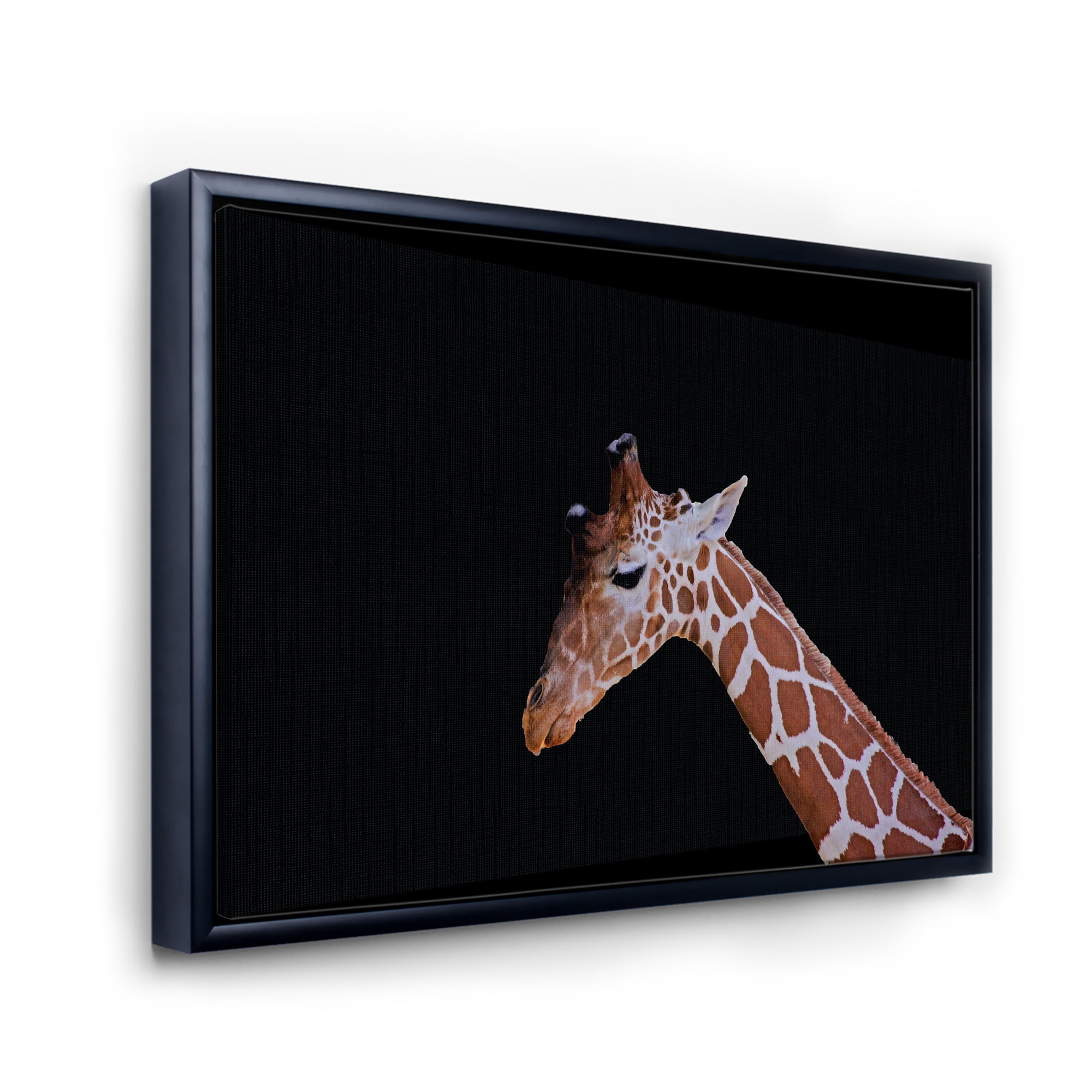 Designart 'Portrait of A Giraffe On Black Background I' Farmhouse Framed Canvas Wall Art Print
