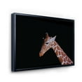 thumbnail image 3 of Designart 'Portrait of A Giraffe On Black Background I' Farmhouse Framed Canvas Wall Art Print, 3 of 5