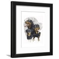 thumbnail image 1 of Rottweiler, Framed Art Print Wall Art by Barbara Keith Sold by Art.Com, 1 of 5
