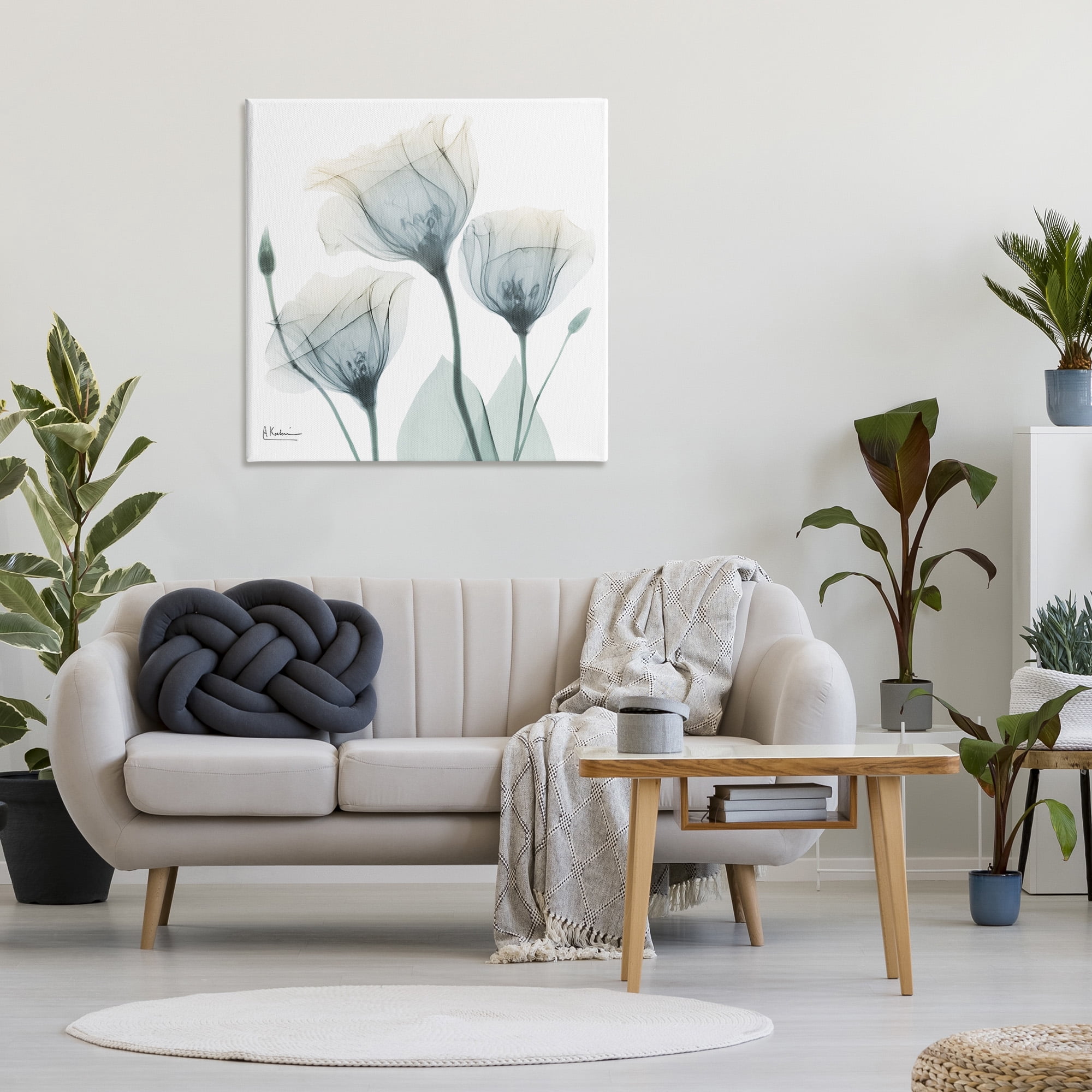 Stupell Industries Soft Opaque Tulips Botanical & Floral Photography Gallery Wrapped Canvas Art Print Wall Art, 36 x 36