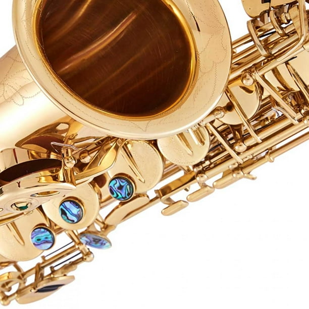 Pour kit de nettoyage de saxophone pour saxophone alto soprano avec 4  pièces de