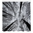 thumbnail image 3 of Ambesonne Horror Shower Curtain, Dark Winter Forest Tree, 69"Wx75"L, Black Grey, 3 of 5