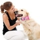 thumbnail image 4 of Collares para perros y gatos Apuakthei con pajaritas ajustables desmontables, de caballero,, 4 of 5