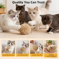 thumbnail image 5 of Soft Fluffy Faux Rabbit Fur Catnip Balls, 3/6/9 Pack for Indoor Play, Fun to Chase for Hunting Instinct & Interactive Bonding (3PC), 5 of 7