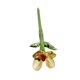 thumbnail image 1 of Decoración floral de vidrio hecha a mano con tallo, miniplantas florales sopladas a mano, figura decorativa para el hogar, sala de estar, oficina, mesa, florero., 1 of 8