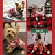 thumbnail image 4 of Pijama de perro KYEESE con estampado navideño de copos de nieve para perros pequeños, 4 of 9