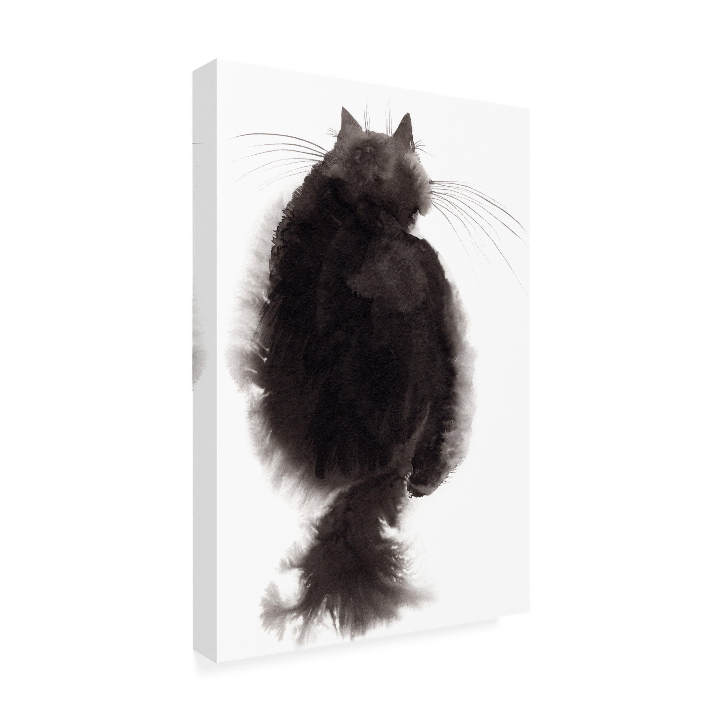 Elena Bolgova 'Black Back' Canvas Art