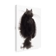 thumbnail image 2 of Elena Bolgova 'Black Back' Canvas Art, 2 of 3