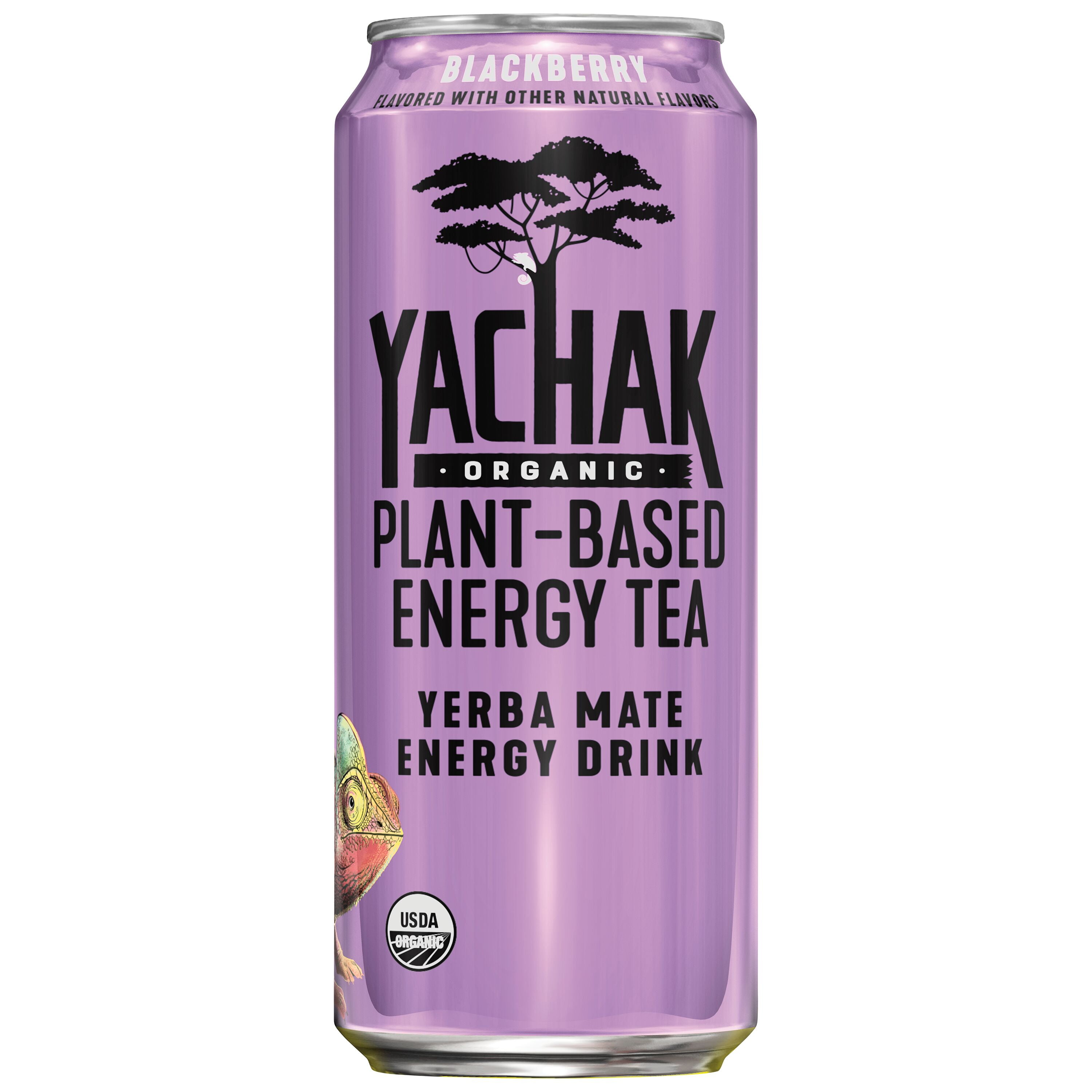 Yachak Yerba Mate Drink, Blackberry, Bottled Tea Drink, 16 oz, 12 Cans