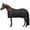 Black, variant on Adjusta Fit Cutback Original Stable Horse Blanket | Color Green | Size 80
