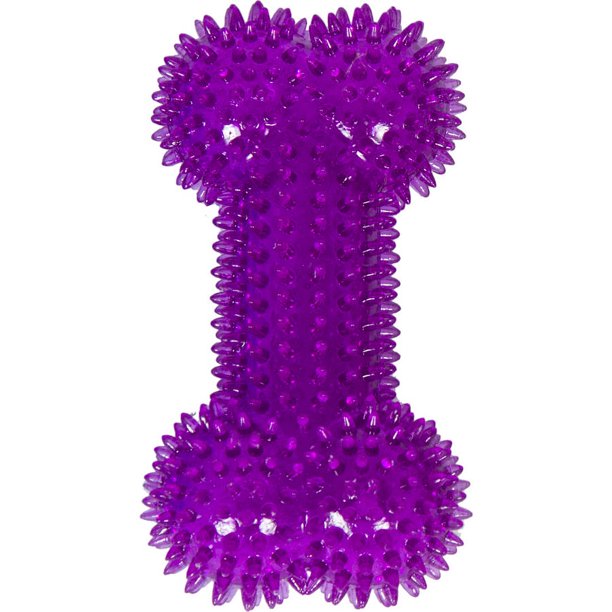 Kellytoy 6" Dog Bone with Squeaker, Purple