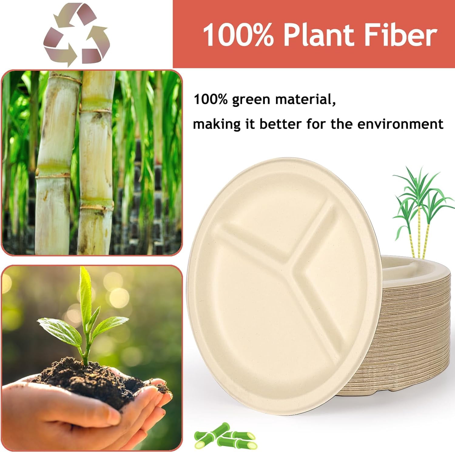 125 Pack 3 Compartment Paper Plates,Compostable Paper Plates,Disposable Paper Plates,9 Inch Heavy Duty Biodegradable Plates for Daily Meals,Food Grade Sugar Cane Fiber