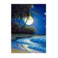 thumbnail image 1 of 5D DIY diamante pintura animal gato círculo completo rhinestone bordado playa paisaje mosaico mosaico imagen decoración del hogar Tan Jianjun unisex, 1 of 2
