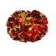 thumbnail image 1 of Pompones De Porristas, Pompones Aeróbicos De Animadora Pompones Pompones Máxima Confiabilidad, 1 of 8